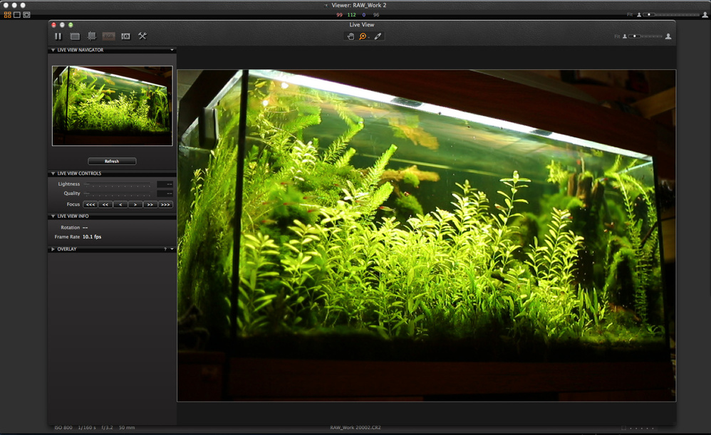 LiveView